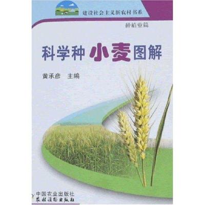 11科学种小麦图解/新农村978710912167622