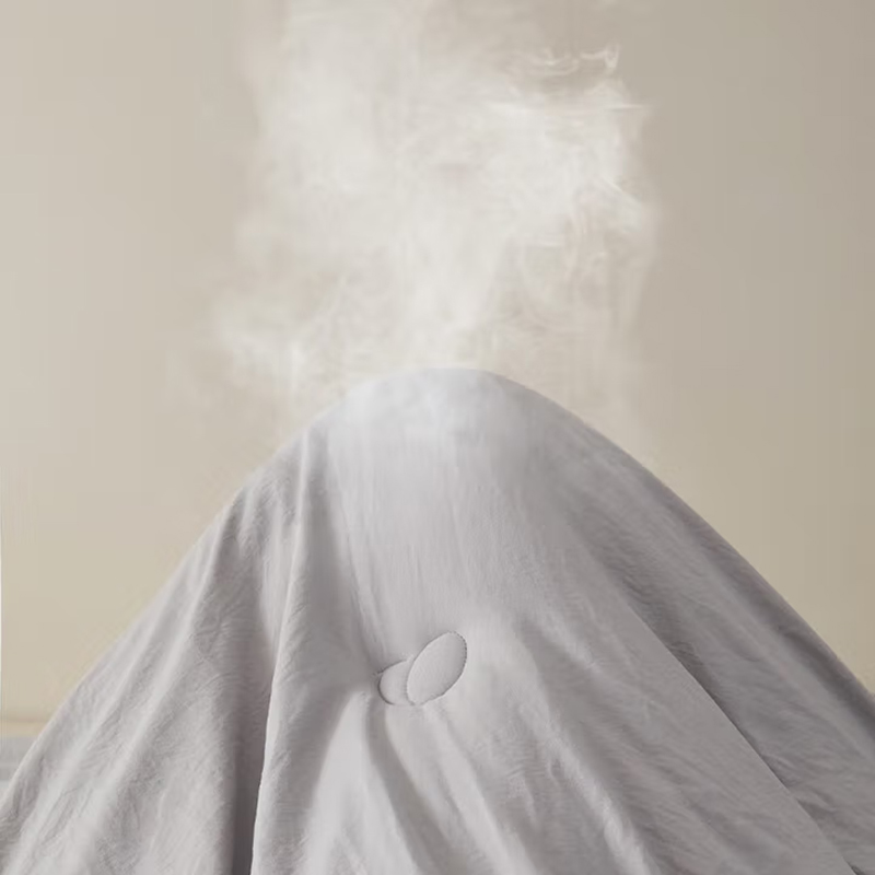 合祥源 ZTJ-B02 厚被 1500*2000mm 单位:件高清大图