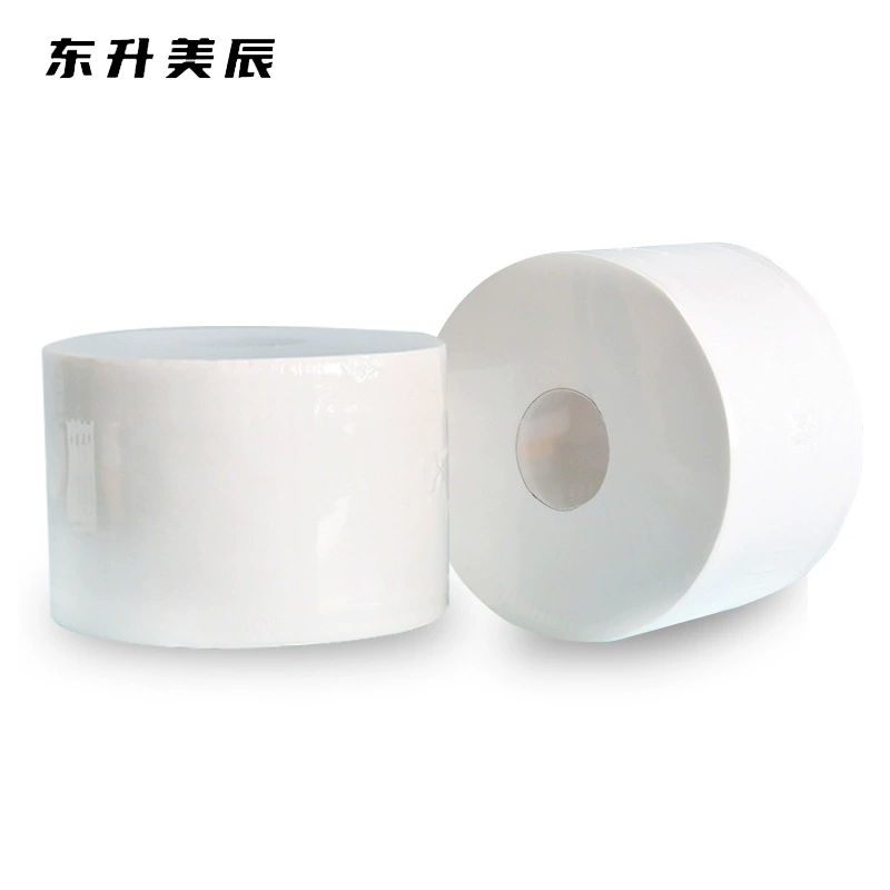 东升美辰 中心抽大盘纸700g12.7cm 12卷 DS-BH239 箱高清大图