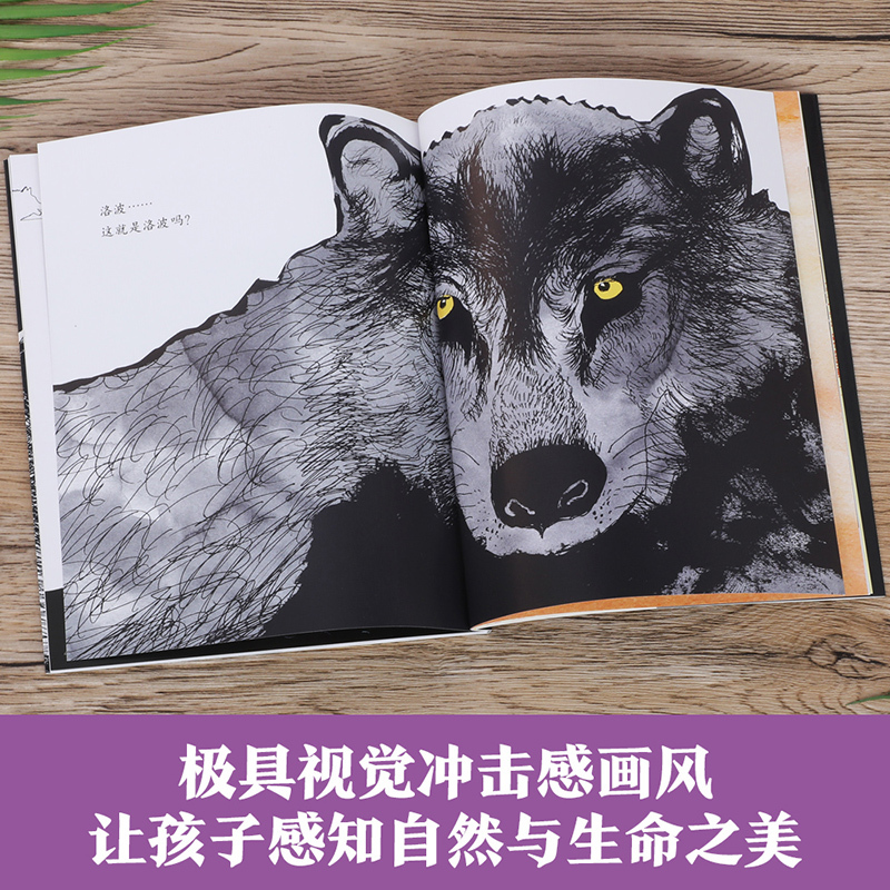 阿部弘士编绘版西顿动物故事(共5册)可点读 [正版] 阿部弘士编绘版西顿动物故事(共5册)点读版 儿童文学4-6-12岁