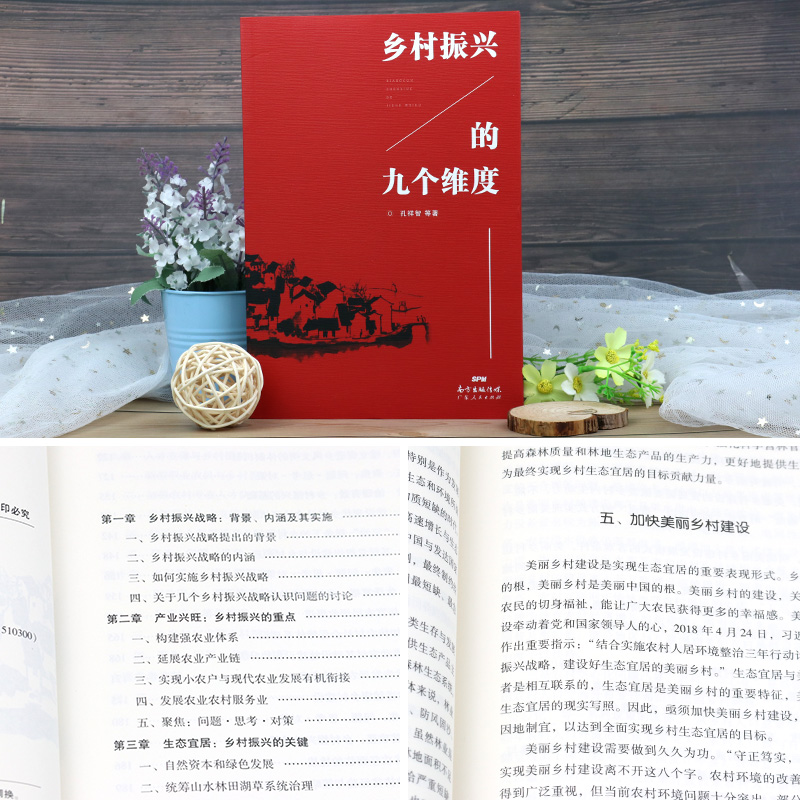 [正版图书]乡村振兴的九个维度 学习乡村振兴战略辅导读物 农村服务战略 乡村经济财政 建设现代乡村社会治理体制高清大图
