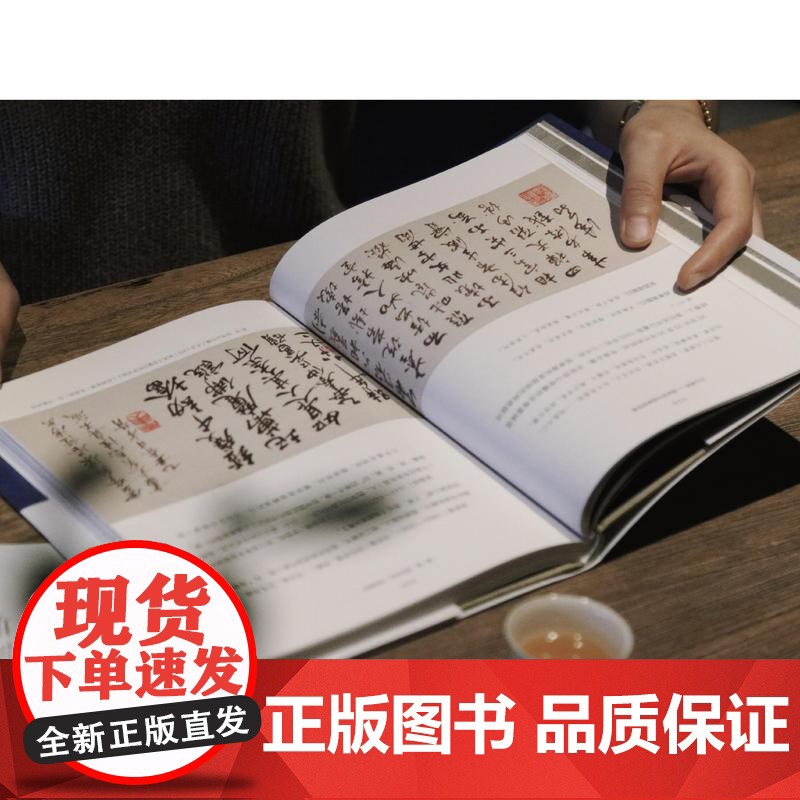 远尘离垢雷峰塔与雷峰塔所藏 上海书画出版社雷峰塔的由来塔倒后的文化震荡宋代地方志宋元明清诗文书画历史变迁高清大图