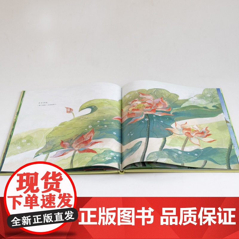 大家小绘系列:爱莲说高清大图