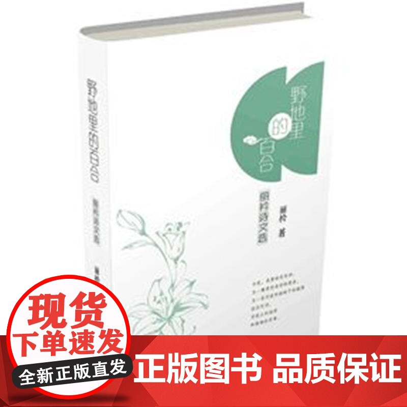野地里的百合高清大图