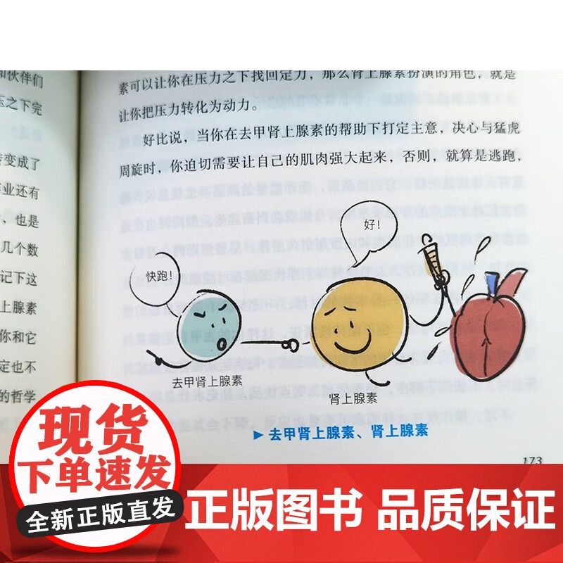 你一生的化学反应 孙亚飞 著 科普读物高清大图