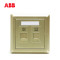 ABB开关插座 德逸珍珠金 二位电话电脑插座电话+网络面板AE323-PG