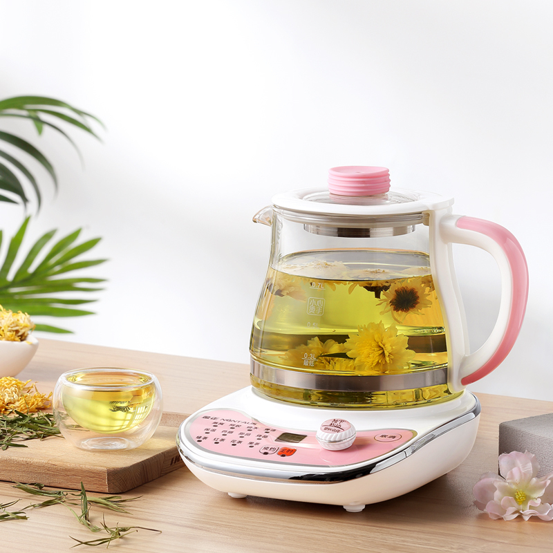 金正(NINTAUS) JZW-08Y01多功能煮茶壶养生壶电热水壶 自动保温0.8L
