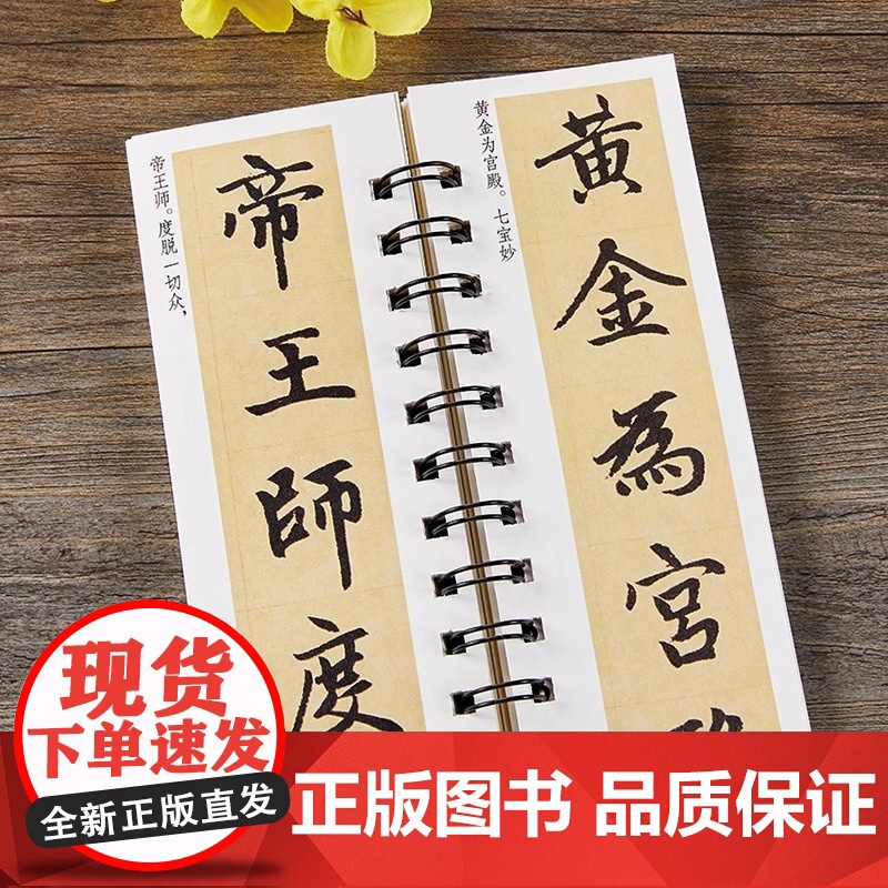 赵孟頫胆巴碑 原帖楷书毛笔书法字帖经典碑帖临摹字卡赵孟俯赵体近距离对临入门附简体旁注高清大图