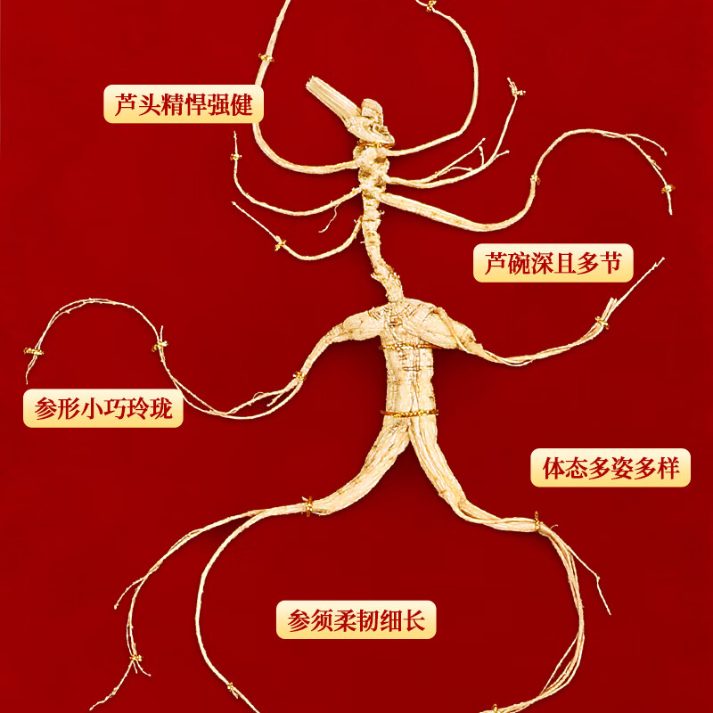 长白山人参野山参参须柔韧细长芦碗深且多节A1礼盒7g高清大图