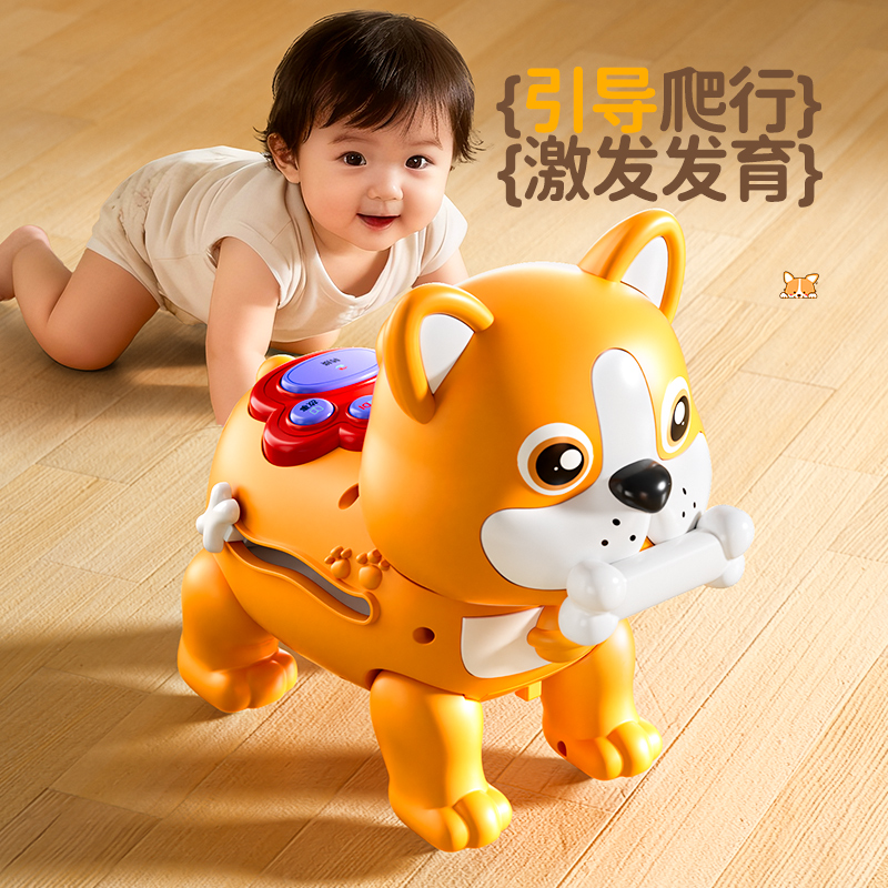 牵绳法斗犬高清大图