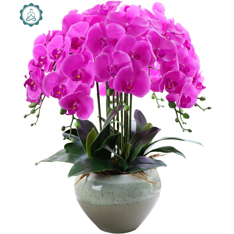 现代简手感仿真蝴蝶兰塑料花装饰花客厅假花盆栽仿真花