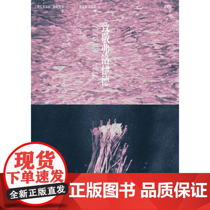 新民说· 致敬弗洛伊德 [ 美]希尔达·杜利特尔 著 精神分析 心理学 心理咨询 广西师范大学出版社高清大图