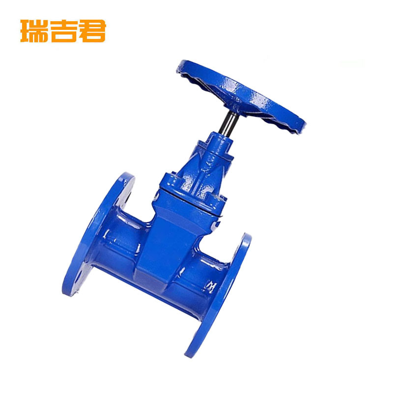 瑞吉君 软密封闸阀 DN250 单位:个高清大图