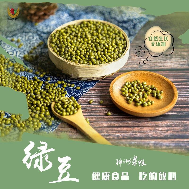 邵阳县浏阳河神洲杂粮绿豆1000g FPSYX0019
