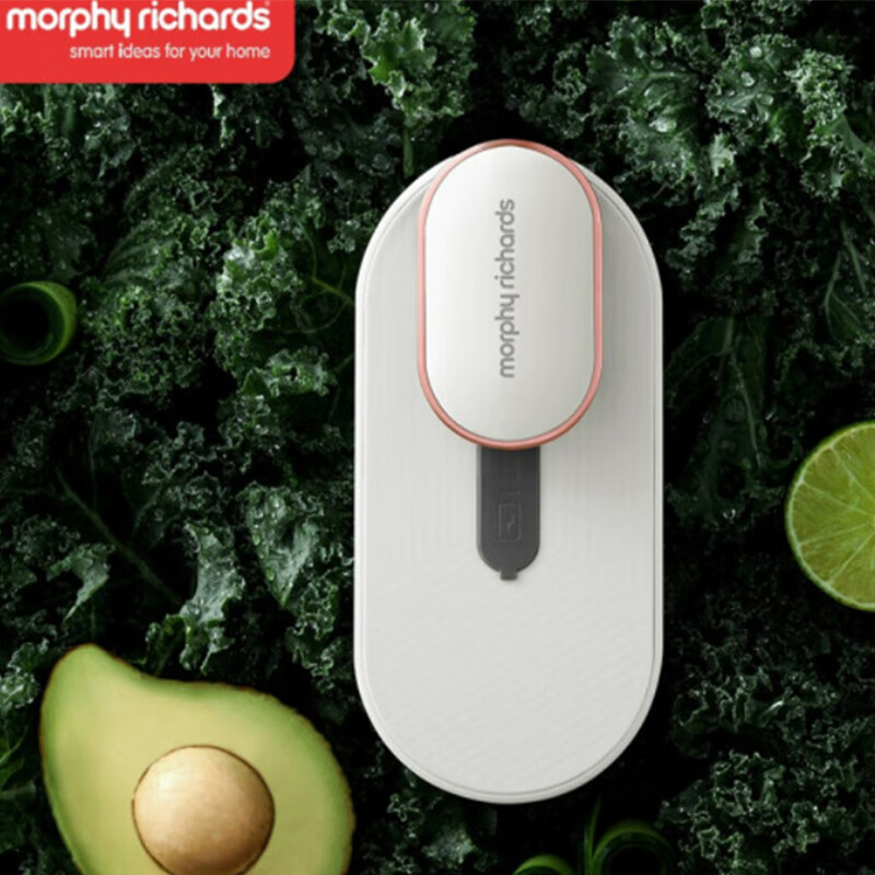 摩飞电器(Morphy richards) 冰箱除味器除臭杀菌空气冰箱净化器除味剂去味盒保鲜卫士MR2060 白色