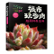 [醉染正版]城市玩多肉:超萌种养宝典 多肉养殖种植书籍 多肉书籍大全 技术 多肉怎么养 养花书籍种花大全 多肉品种大全