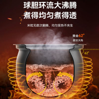 苏泊尔(SUPOR)电压力锅家用6L多功能4-8人大容量智能不粘锅底盘加热预约定时一锅双胆球釜高压锅60YC8001Q