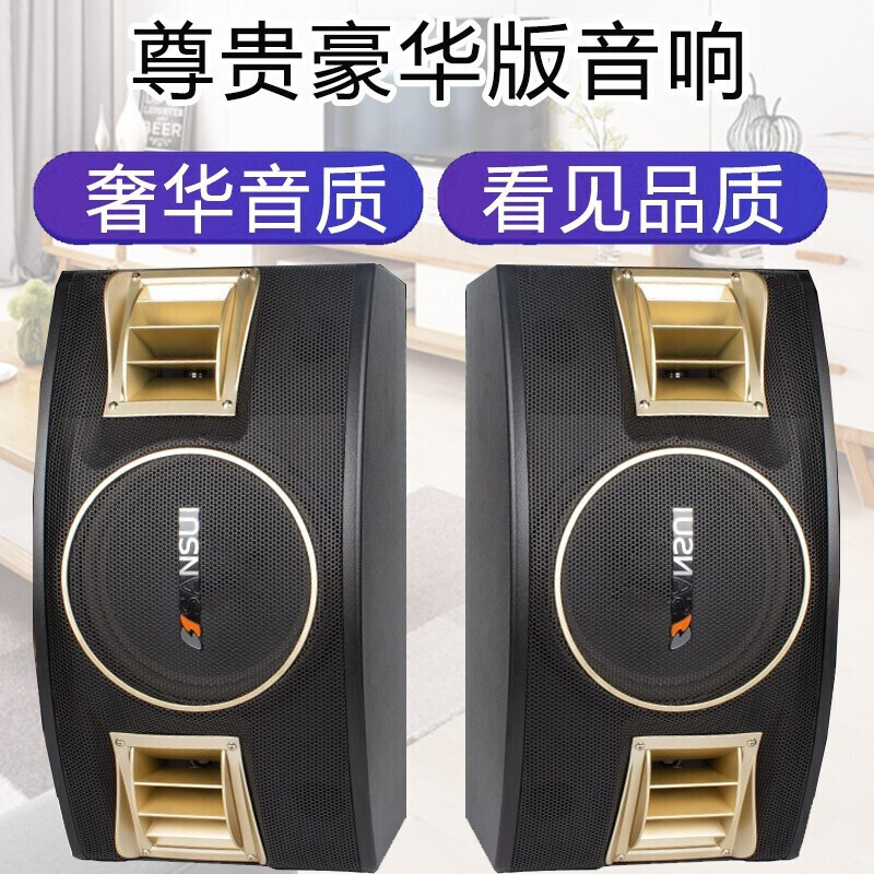 山水(SANSUI) SP2-11套装家庭影院家用客厅会议室专业效果器组合音箱电视KTV音响拓浦发3T语音点歌
