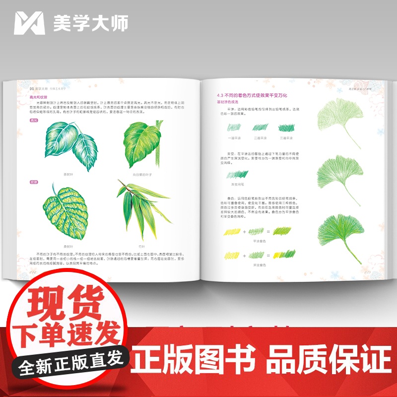 2021新书 花之绘 彩铅入门教程书籍零基础初学者手绘插画本写实花卉植物草多肉画册临摹教材线稿成人儿童美术兴趣涂色 中国高清大图