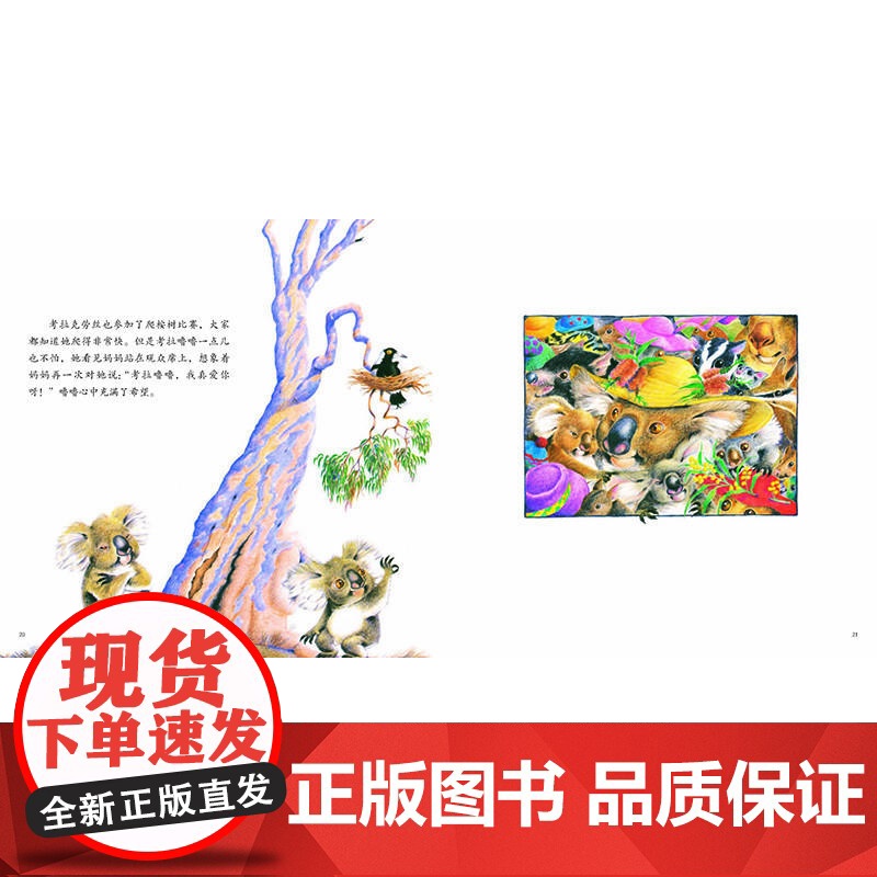考拉噜噜高清大图