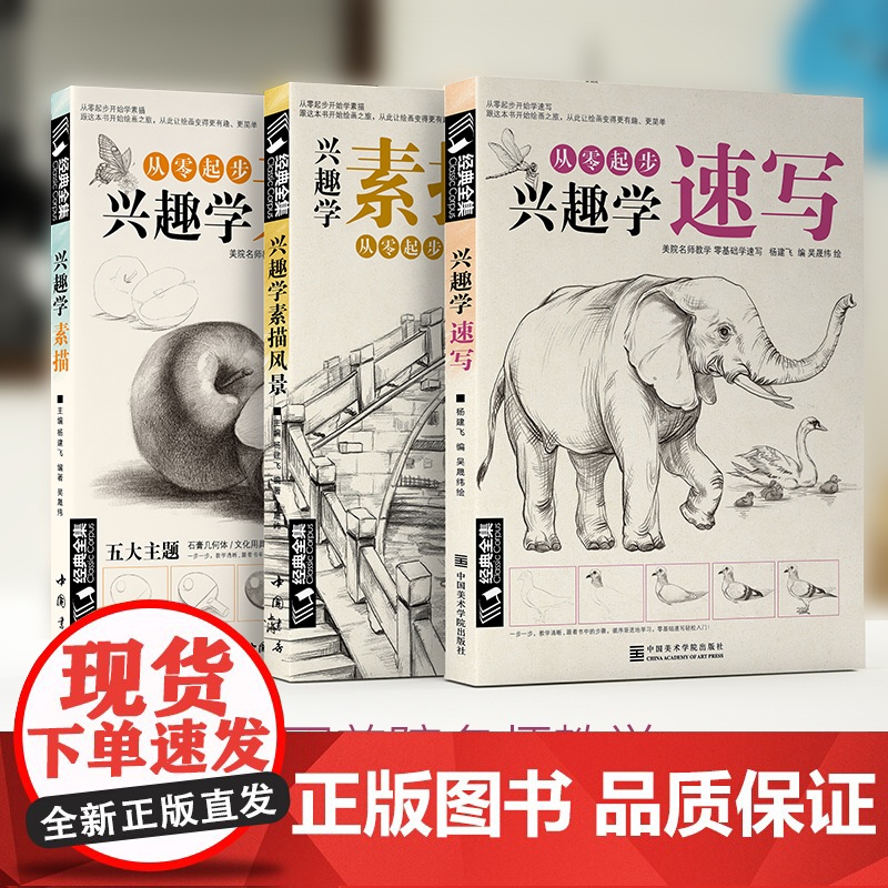 经典全集 兴趣学素描/速写/风景3本套装 零基础入门 画画自学素描入门 绘画步骤详细一步一画 素描临摹画册书籍杨建飞主编高清大图