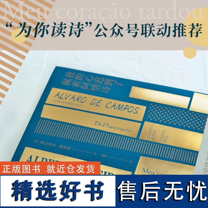 我的心迟到了 佩索阿情诗 葡萄牙国宝级诗人 佩索阿情诗集 诗歌 爱情 情诗 外国文学 经典 北岛 舒婷 西川 阿乙高清大图