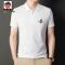 爱曼普新款男士半袖体恤衫男刺绣高级棉T恤男抗皱透气POLO衫男潮