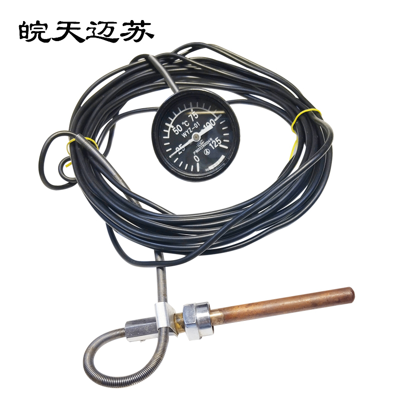 皖天迈苏遥测温度计WYZ-01 件