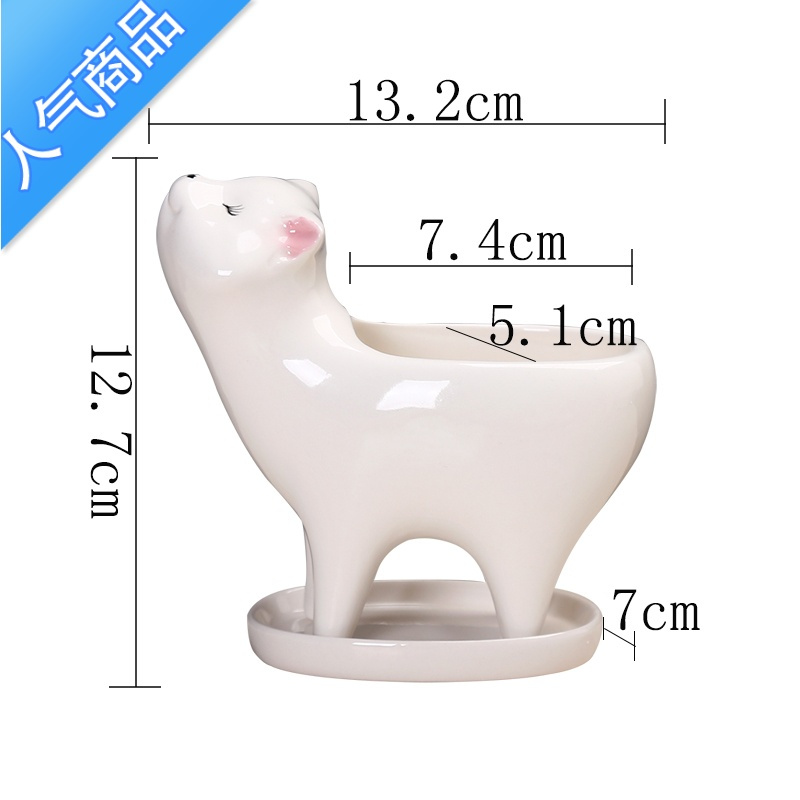 Yicheng简约植物白色多肉花盆陶瓷创意个性可爱小号桌面仙人掌猫尾巴花器花盆容器报价 参数 图片 视频 怎么样 问答 苏宁易购