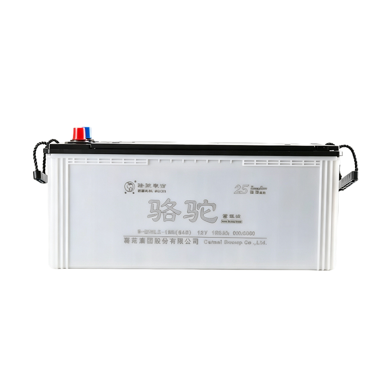 骆驼 蓄电池12V200Ah 6-QWLZ-200 只高清大图