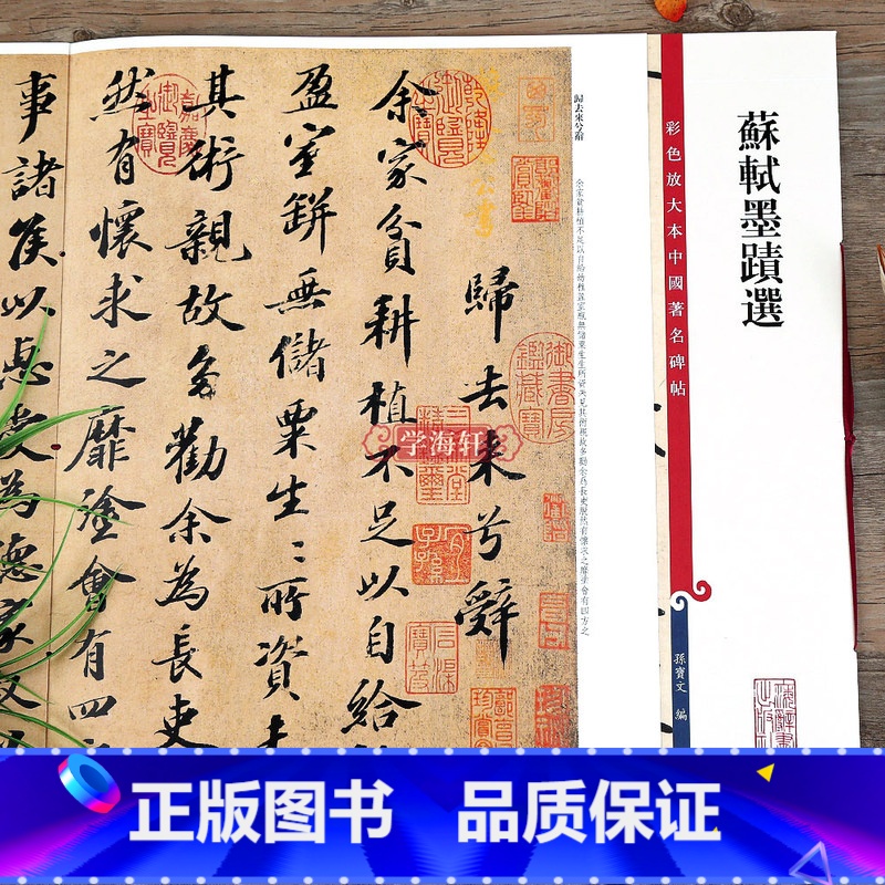 【正版】苏轼墨迹选 彩色放大本中国著名碑帖繁体旁注孙宝文苏东坡行书毛笔字帖书法临摹帖古贴墨迹本上海辞书出版社学海轩