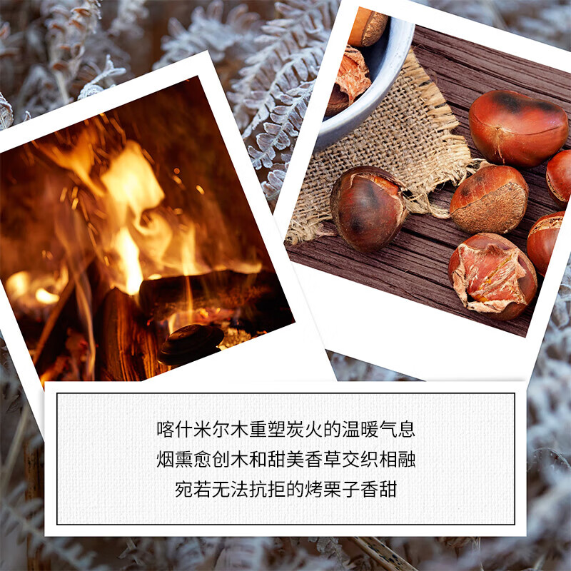 梅森马吉拉 温暖壁炉香氛蜡烛165g高清大图