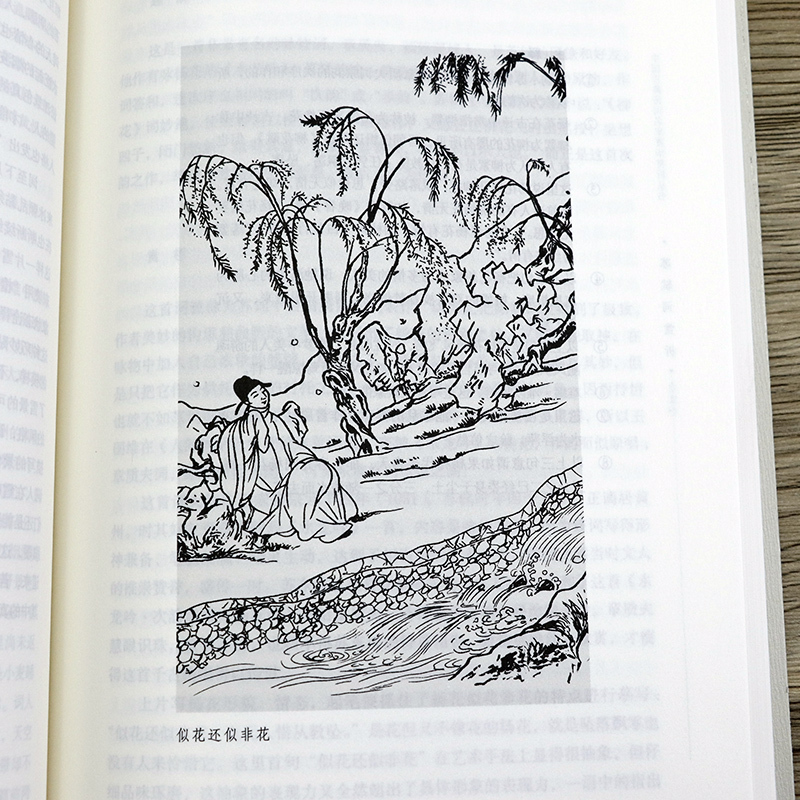 [正版]苏轼词赏析 中国古诗词全集鉴赏译注赏析文集文言文初高中课外阅读书籍 古典诗词大会古代诗歌苏东坡传人一生要读的唐诗