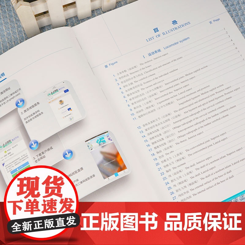 人体解剖彩色学图谱 第三版第3版新版郭光文3D搭奈特医用医学生解剖书外科全彩局部系统实用解剖彩绘本科大学教材二版升级人民高清大图