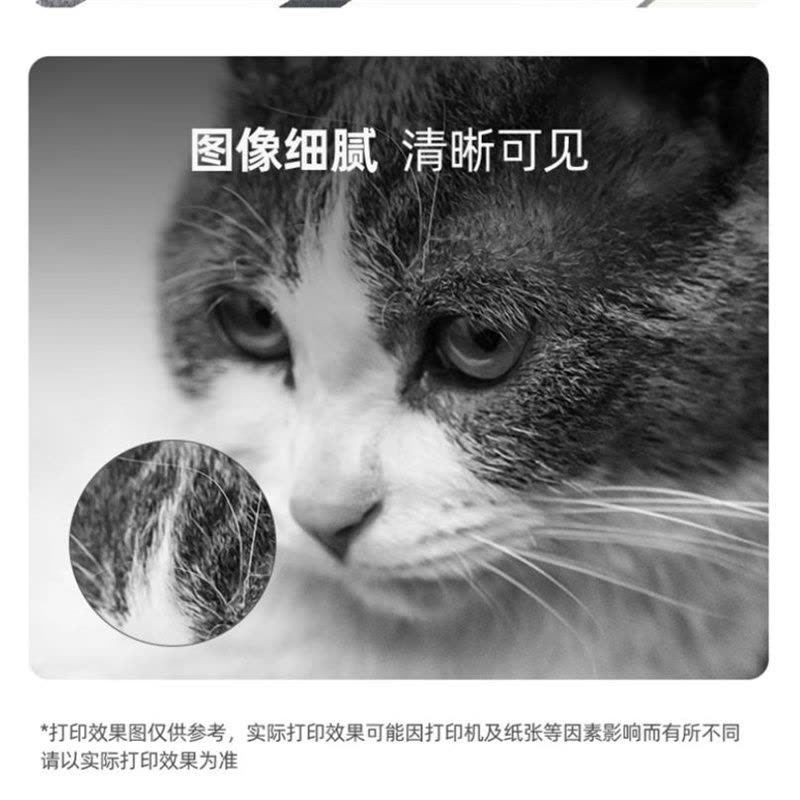 奔图PANTUM DO-4200硒鼓组件适用BP4200DN/DW BM4200DN/DW BM4200ADN/ADW BM4300ADW打印机硒鼓件图片