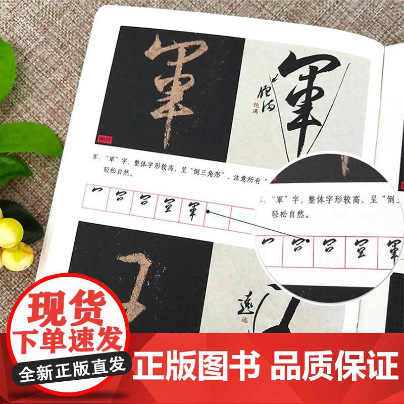 王羲之圣教序字字析 黄文新著 1523字逐字视频讲解碑帖笔法临析毛笔书法临摹软笔笔法解析书法教程 天津人民美术出版社高清大图