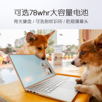 戴尔笔记本电脑dell灵越7400 14.5英寸防眩光高色域护眼斩蓝屏超轻薄笔记本电脑(十一代i5-1135G7 16G 512G 锐炬XE核显)铝合金