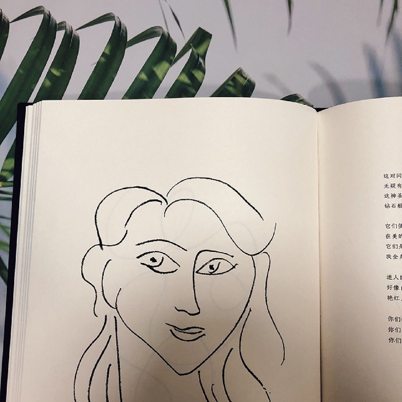 [正版]书店 恶之花:插图珍藏版 郑克鲁刘楠祺译 野兽派绘画配图 法国象征主义诗歌外国文学高清大图