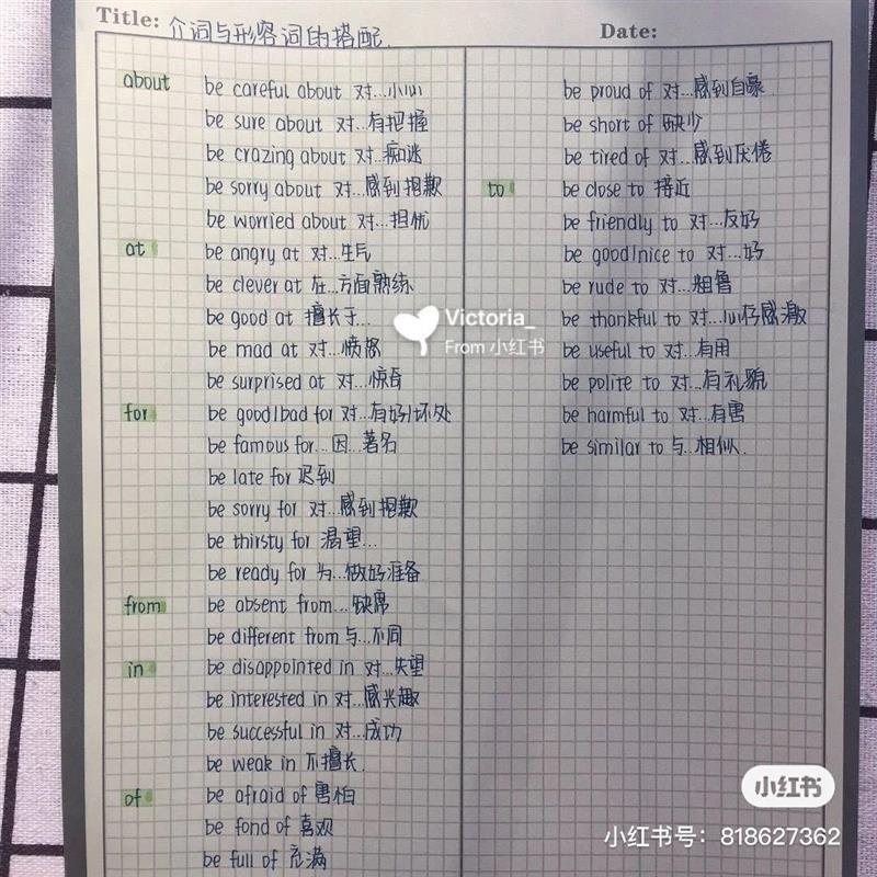 小红书同款牛油果便签本ins便签本小熊网格可撕便签纸英文单词本