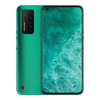 坚果 R2 12GB+256GB 松绿色 1亿像素 骁龙865 双系统双模5G旗舰手机