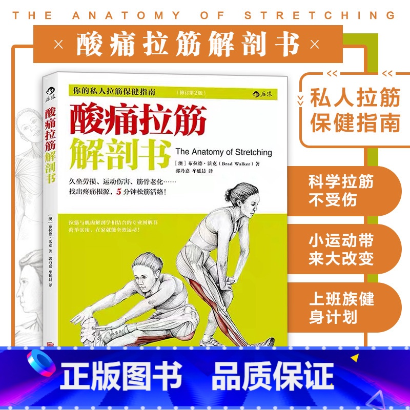 [正版] 酸痛拉筋解剖书 拍打肌肉恢复训练 拉伸动作大全图解 锻炼教程健身书籍 放松肌肉科学精准拉伸 人体肌肉解剖书体高清大图