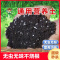 [补贴10%]花土通用型营养土家用种花盆栽多肉土种菜专用种植有机土发酵阳台