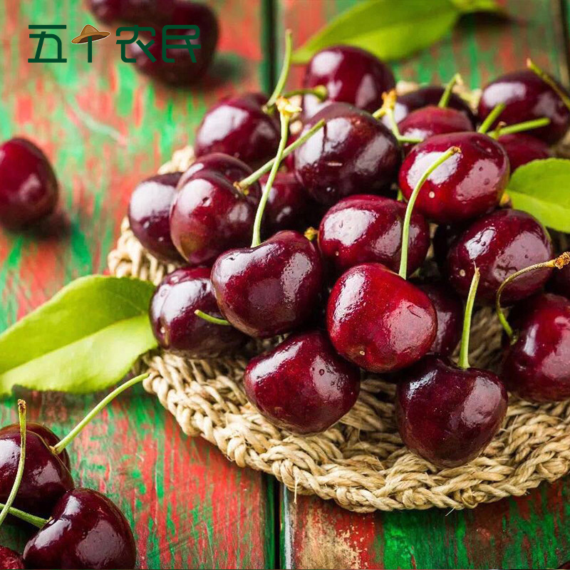 [五个农民]智利进口santina桑提娜JJJ级车厘子500g红宝石樱桃时令新鲜水果顺丰空运核酸检测安全放心