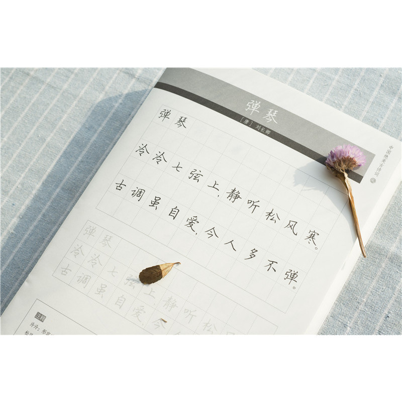 [正版]田英章田雪松硬笔字帖 中国绝美古诗词风 楷书钢笔字本硬笔水笔楷书字帖临摹本成人学生练习册 释义对应湖北美术出版社