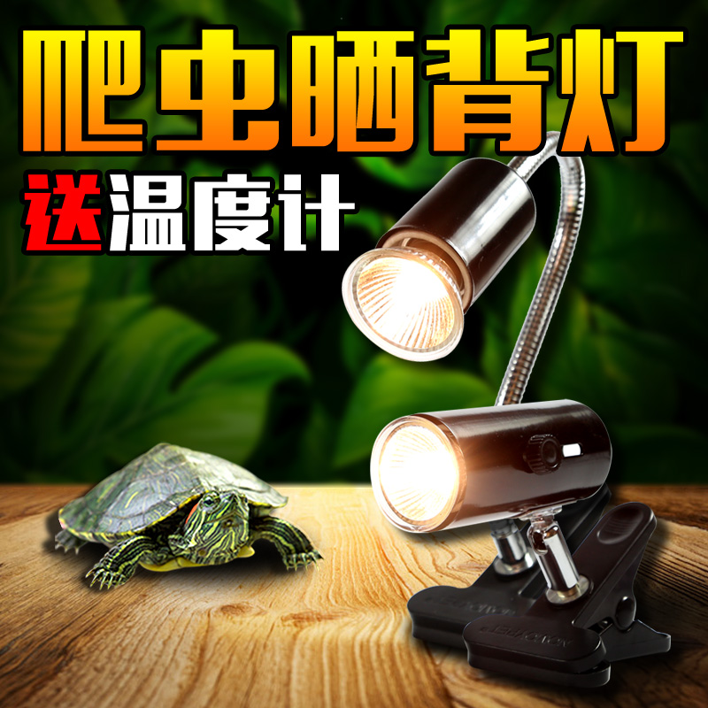 乌龟缸晒背灯 uva加热灯uvb灯罩 太阳灯夹灯可调节温度爬虫灯架高清大图