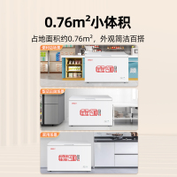 星星(Xingx)BD/BC-355E 355升 冰柜冷柜 厨房商用保鲜设备卧式通体大容量 冷藏冷冻转换单温冰柜
