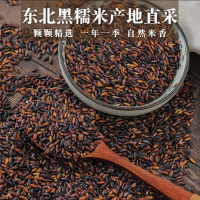 东北黑糯米 五谷杂粮血糯米新米 500g*2