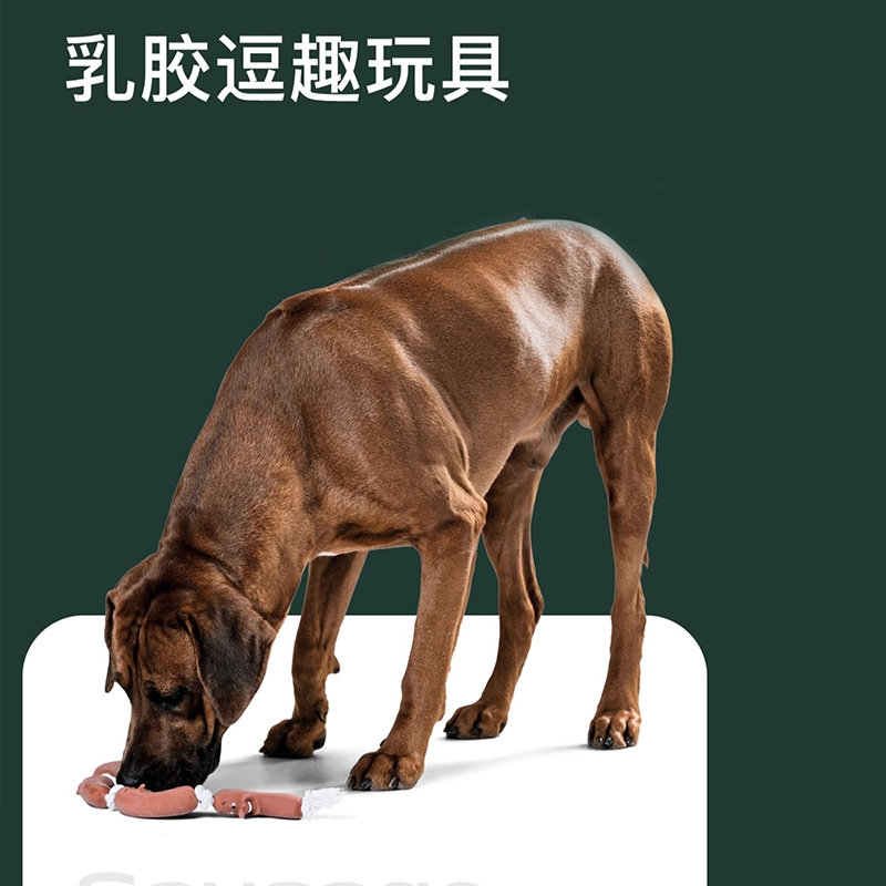 米妮橡胶玩具狗狗宠物玩具磨牙猫犬用陪伴玩具家用玩具外出