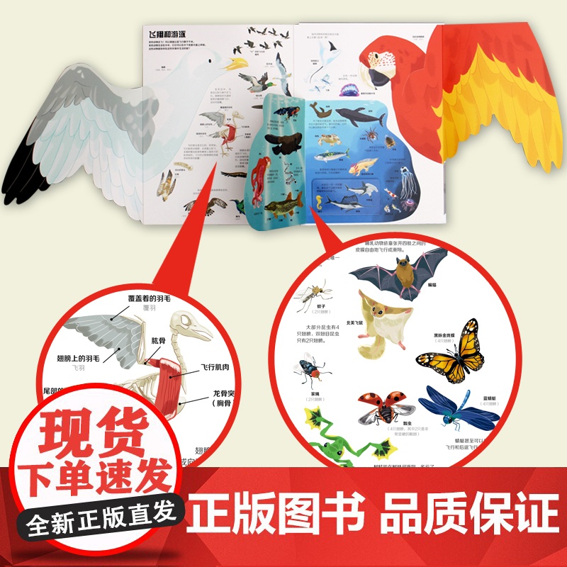 [央视网]不一样的动物世界 儿童3d立体书翻翻书 自然科学书籍 动物世界科普百科全书绘本 培养动手能力 QH高清大图