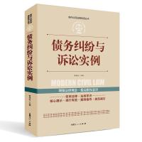[全案例讲解]债务纠纷与诉讼实例 正版中华人民共和国常用法律 债务纠纷与诉讼案例